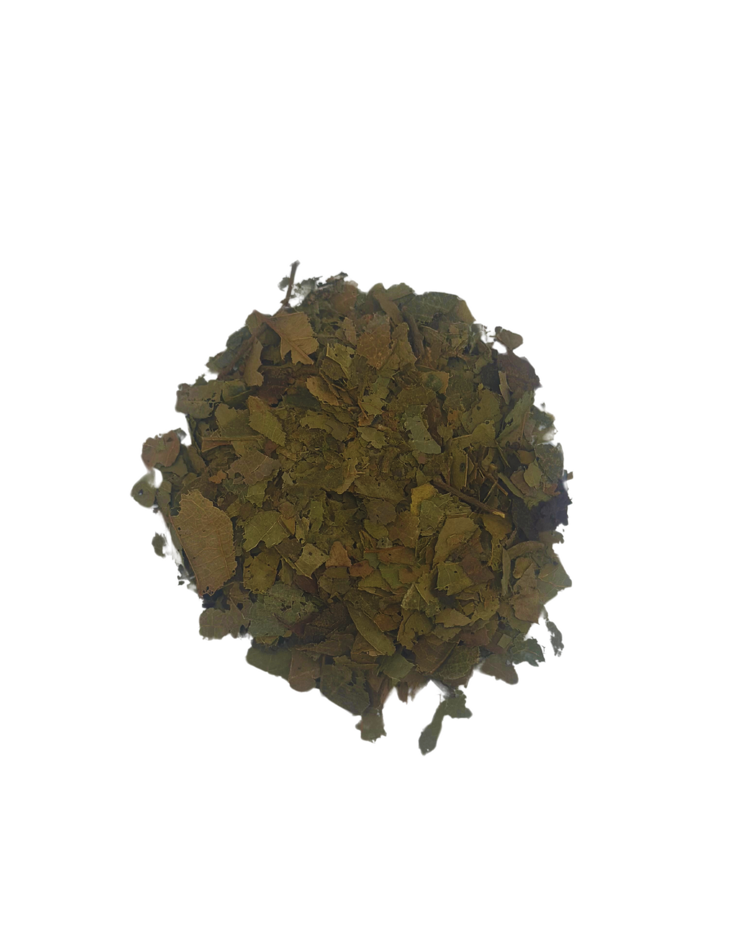 Soursop Leaves