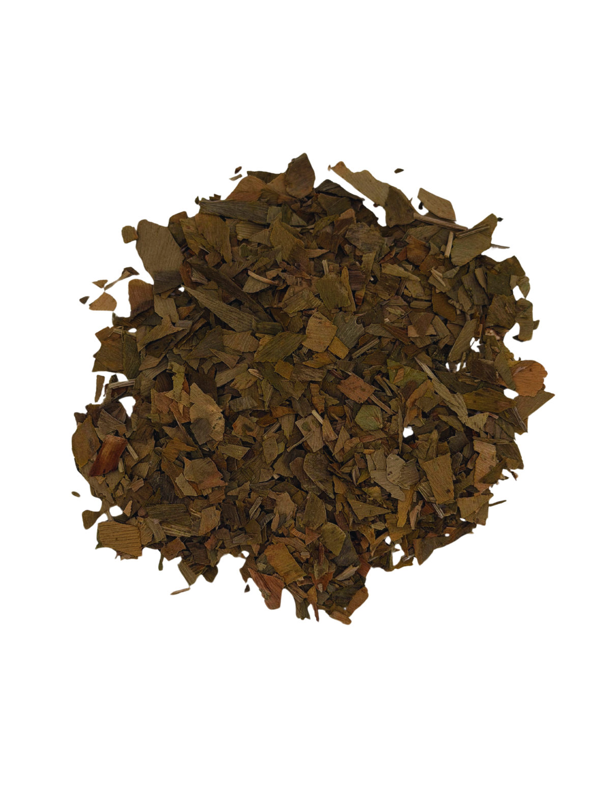 Ginkgo Biloba